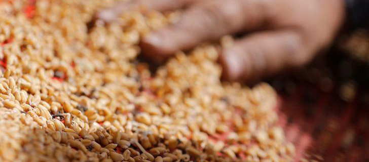 Zebra 斑马 ZE521-RFID 条码打印机