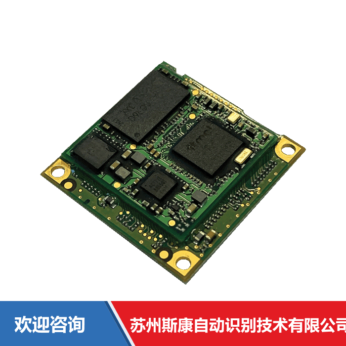 Datalogic 得利捷 DB0431 OEM Decoder 仓库条码管理系统